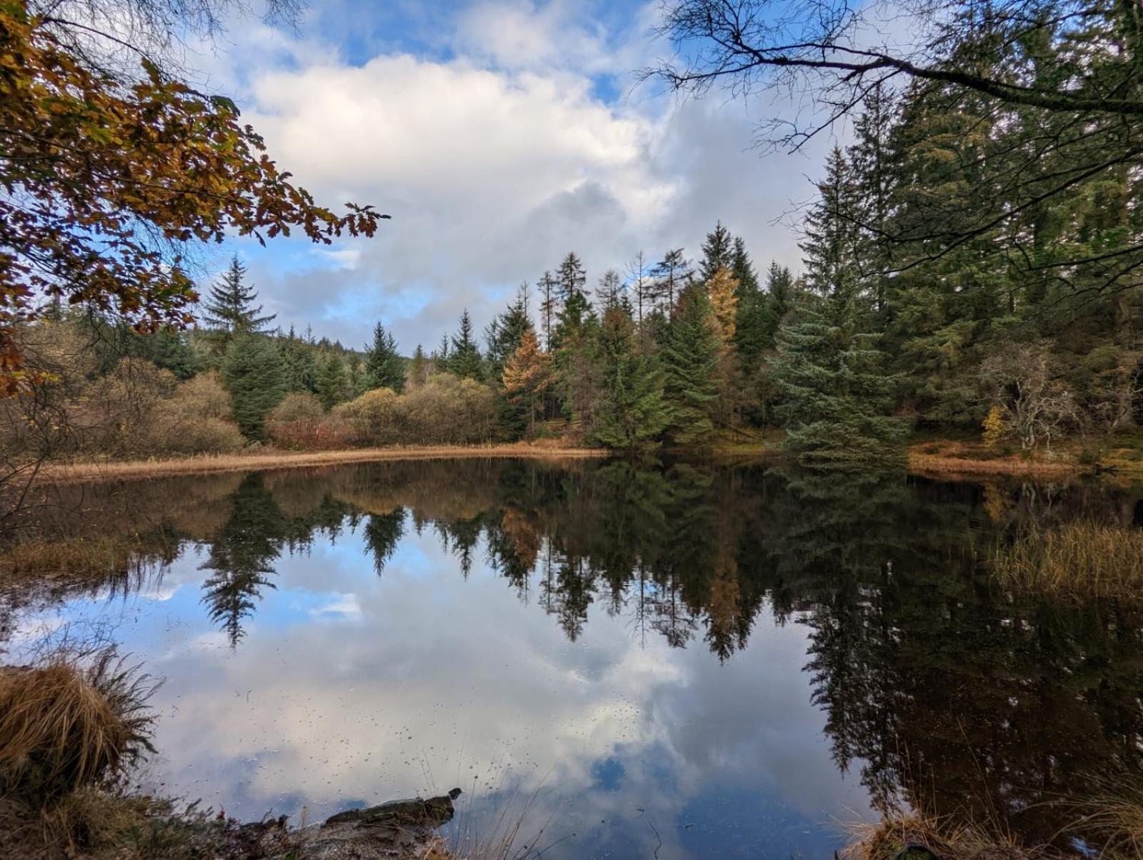 Nordlys Cottage Newton Stewart Luaran gambar