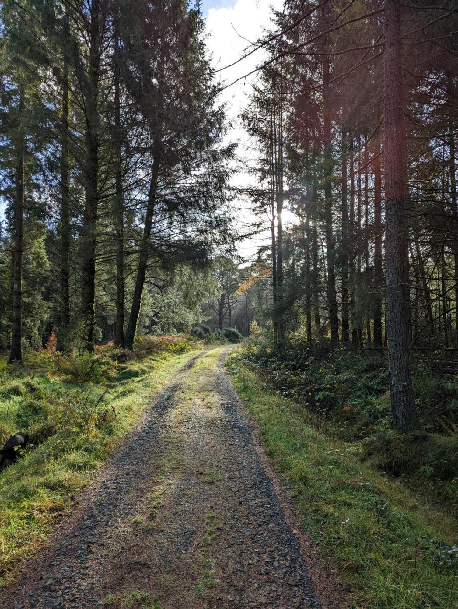 Nordlys Cottage Newton Stewart Luaran gambar
