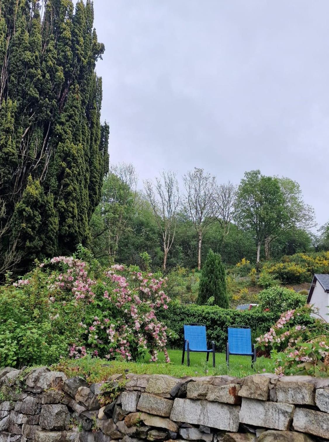 Nordlys Cottage Newton Stewart Luaran gambar